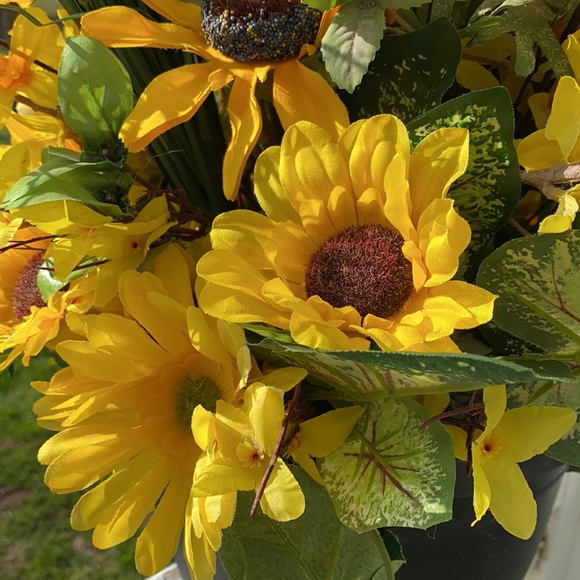 Sunflower Kisses Hanging Basket! - Picture 4 of 5